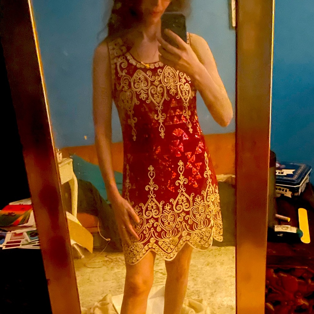 Gorgeous Embroidered Ted Sleeveless Dress